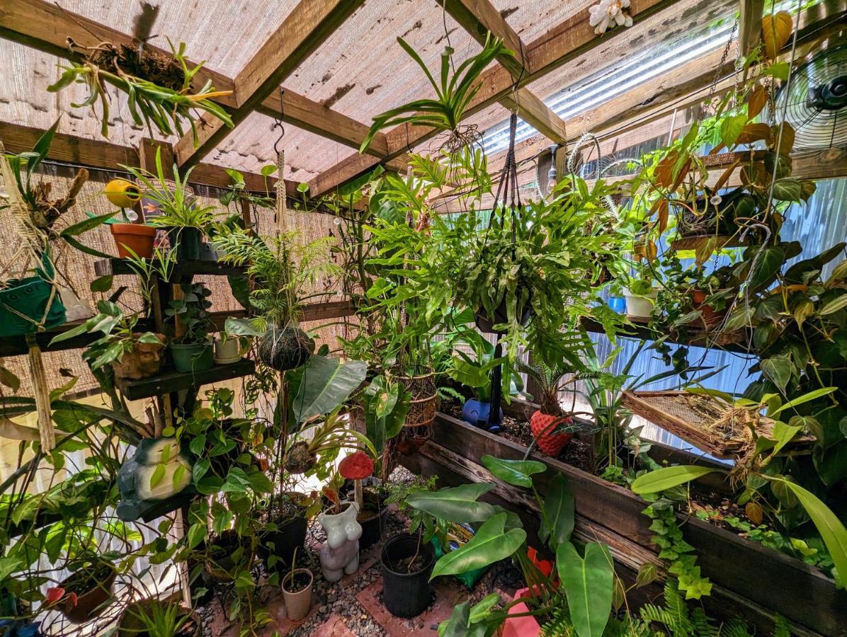 Cozy Af Tiny-House Oasis Villa Tampa Eksteriør bilde