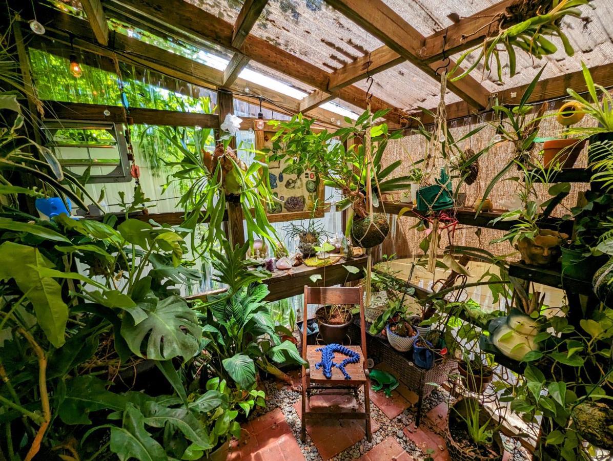 Cozy Af Tiny-House Oasis Villa Tampa Eksteriør bilde